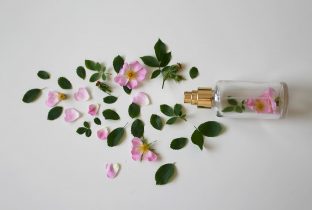 scent-of-roses-perfume-rose-bottle